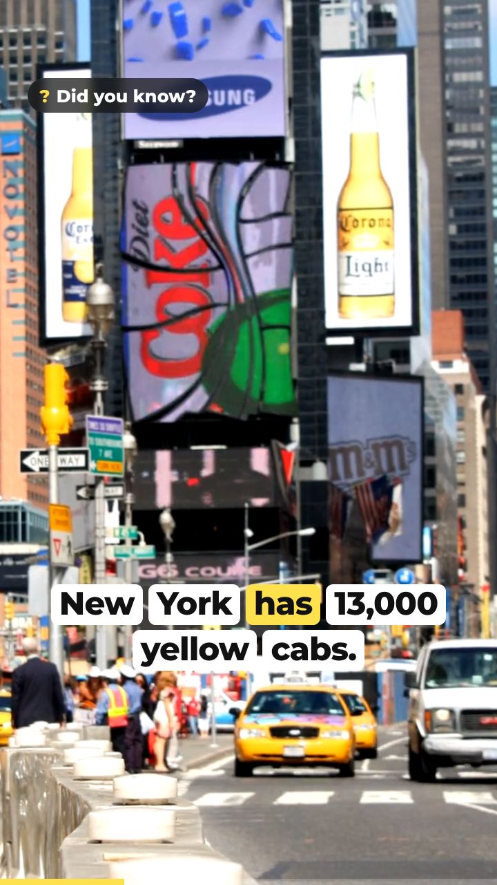 A vertical clip with word-by-word captions